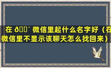 在 🐴 微信里起什么名字好（在微信里不显示该聊天怎么找回来）